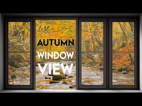 4K Autumn Forest Fake window View Relaxing music, Calming, Ambience