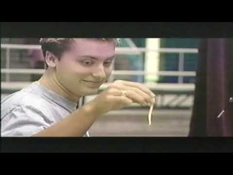 Making The Tour: *NSYNC