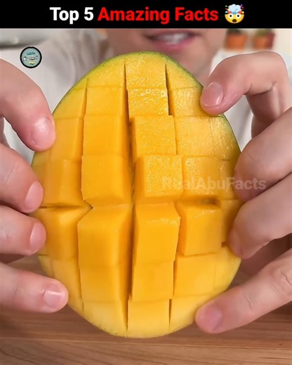 Top 5 Amazing Facts 🤯|| Crazy Facts | Mind Blowing Facts In Hindi #facts #amazingfacts