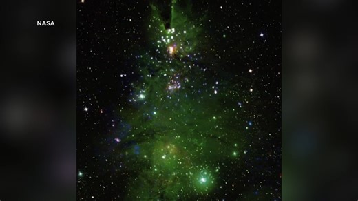 WOW! 😮🌟 NASA released spectacular video of the Milky Way's very own "Christmas tree cluster," which lies about 2,500 lightyears away from Earth. Check out how it works!: http://tinyurl.com/26njs3nh | LOCAL 12, WKRC-TV