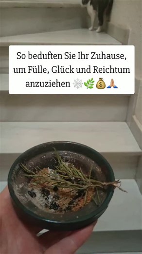 Medium und Heiler / Tierkommunikation / Energiearbeit on Instagram: "Das Verbrennen von Rosmarin-Räucherwerk mit Zucker ist eines der ältesten Rituale, um Wohlstand, Reichtum und Glück anzuziehen. Rosmarin reinigt, schützt und öffnet Wege; Zucker mildert das Schicksal, zieht Chancen an und löst energetische Blockaden. Gemeinsam erzeugen sie eine magnetische Schwingung, die Fülle schnell und wohlwollend hervorbringt. 🌳 Eigenschaften: • Reinigt von Energien des Mangels und der Stagnation • Zieht