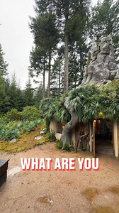 Living a day in Shrek's house 💚 #shrek #airbnb | LADbible Australia