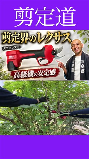 スゴセン次男 アルス電動剪定鋏 #庭木の管理 #庭作業 #剪定バサミ #切り戻し #庭木の手入れ #庭木の剪定 #電動剪定鋏