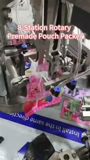 8-Station Rotary Premade Pouch Packer | Automatic Pouch Packaging Machine