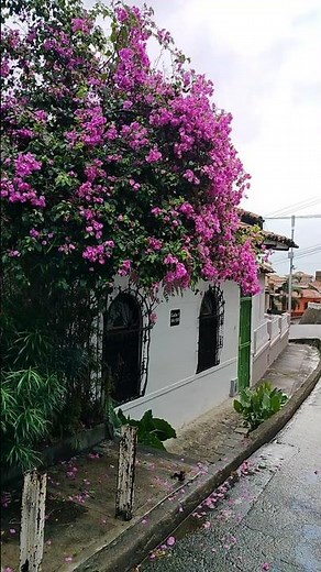 Restaurante Embrujo Andaluz #columbia #mexico #viral #travel #travelvlog #viralvideo #traveling