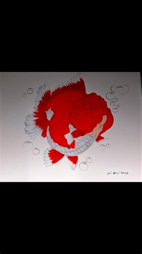 将画作中完美的金鱼形态与现实中养鱼的标准结合，体现你对高品系金鱼的专业眼光。