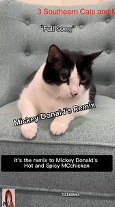 1.3K views · 103 reactions | Mickey Donald Remix  by Rapper Willow Wobble  #3southerncatsandmomma @McDonald’s #viral _R #3southern #tiktok #cats #love #viralreels | Kristi Cates | Facebook