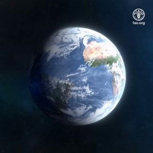 6K views · 149 reactions | Did you know that #ClimateChange also affects the health of livestock? By promoting good production practices & addressing climate-related threats to #AnimalHealth, Food and Agriculture Organization of the United Nations (FAO) supports farmers in building more sustainable & resilient agrifood systems. #WorldVeterinaryDay #OneHealth | Food and Agriculture Organization of the United Nations (FAO) | Facebook