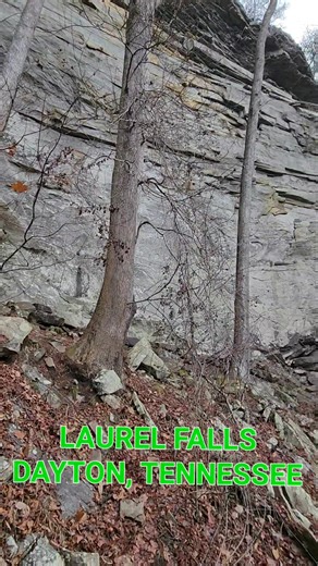 Laurel Falls is located at Laurel Snow State Natural Area in Dayton, Tennessee. #outdooradventuresintennessee #simplelifebigadventures #Tennessee #ExploreTennessee #tennesseewaterfalls #tennesseestateparks #tnstateparks #DiscoverTennessee #waterfall #waterfalls #hike #hiking Simple Life, Big Adventures | Outdoor Adventures in Tennessee