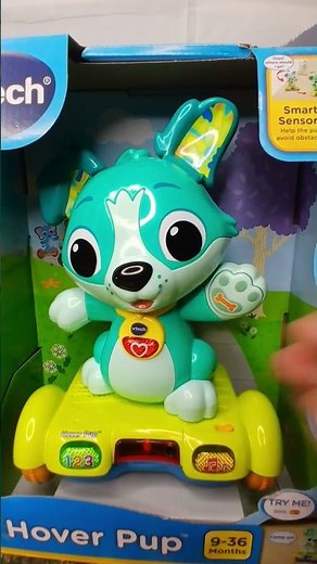 cute pup #hoverboard #vtech #interactive #ytshort