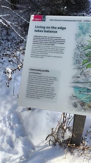 Cool information on a sign in Griffith woods Park. #griffithwoodspark #explorecalgary