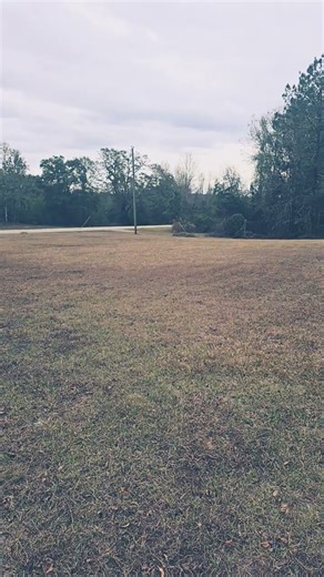 the new 3d printers of the jetsons