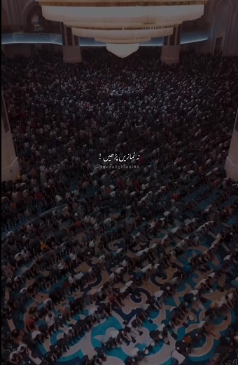 #MUHAMMAD ﷺ #FORYOU #FORYOUPAGE #syedaligillani24 #FYP