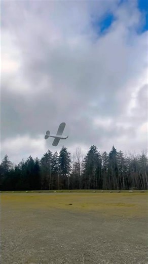 Ft simple cub amazing flight #j3cub #flitetest #rcaircraft