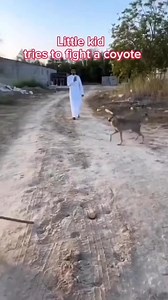 A dog is attacking a baby boy | Animal Crisis Moments