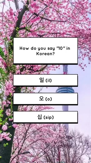 Learn korean 🇰🇷 #kpop #kdrama #learnkorean #korea #korean