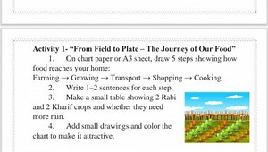 Activity 1: From Field to Plate - The Journey of Our FoodOn a... | Filo