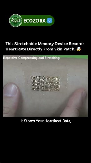 This Skin Patch Stores Your Heartbeat Data 🤯 #healthtech #wearabletech