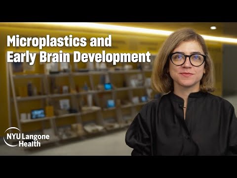 How Microplastics Affect Children’s Brain and Health | NYU Langone Health