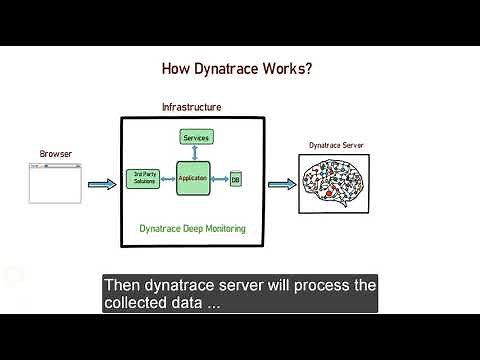 How Dynatrace Works