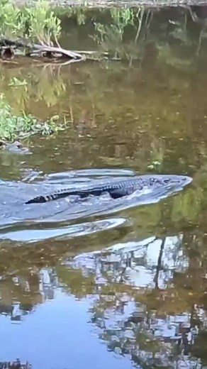 Andysfishing on TikTok