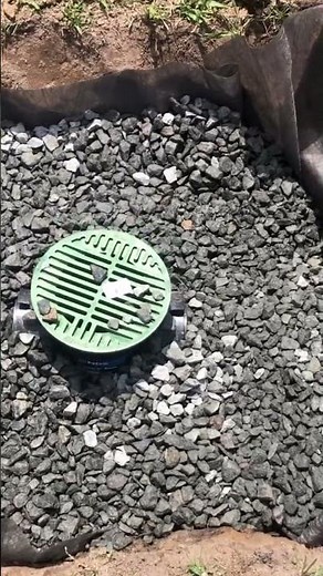 How To Eliminate Standing Water In Your Yard