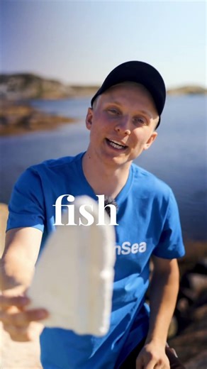 How polystyrene harms the ocean.