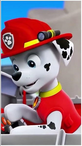 Mix - Paw patrol Vs Chase vs Skye VS Tracker coffin danse song #memes #pawpatrol #coffindance #song