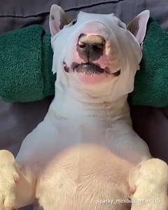 5.7K views · 218 reactions | VIP treatment. 朗 --- Combine usefulness...