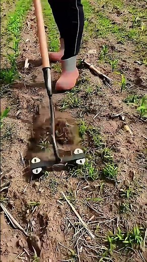 Modern Hoe with Wheels: A Practical Farming Solution #smartfarming #gardeningtips #organicfarming