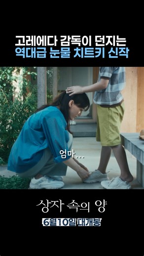 고레에다 감독 눈물의 신작 #상자속의양