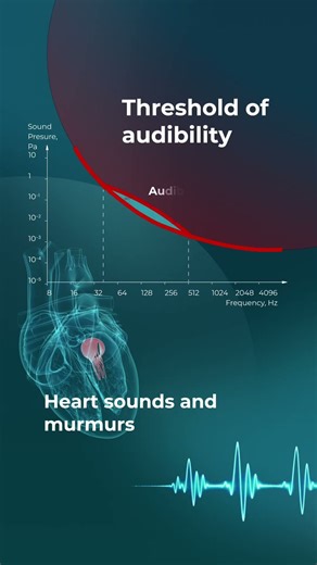 What You Actually Hear When Listening to the Heart