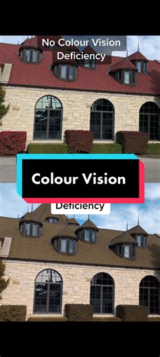 Understanding Colour Vision Deficiencies