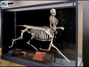 Hidden Egyptian Pyramid Drawings of the Nephilim Hybrids Builders!! (LAND of the GIANTS - Part 2 )