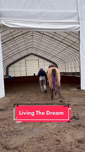 Living the dream 😍 #barrelhorses #barrelhorsesoftiktok #horse #horses #horsesoftiktok #barrelracer #barrelracersoftiktok #futurebarrelhorse #barrelhorseinthemaking #horsetraining #horsetrainer #traininghorses #trainingbarrelhorses #barrelhorsetraining #barrelhorseintraining #makingbarrelhorses #barrelhorsetrainer #diamondwbarrelhorses #guyscasanovacowboy #teamcowboy #trainingbarrelhorses #barrelhorsetraining #barrelhorseintraining #makingbarrelhorses #barrelhorsetrainer #horsetrainer #unicornin