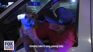 6.9K views · 138 reactions | Smokey the dog absolutely steals the show in tonight's episode of COPS! Stream the exclusive episode now on Fox Nation! https://bit.ly/33dqJnk | Fox Nation | Facebook