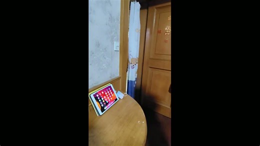 Boy unlocks iPad after remembering long password in Shanghai, China