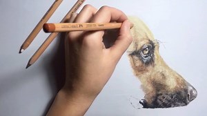 1.5M views · 1.4K reactions | It's that time of week again. Whether you're looking for fantastic fails or hardcore wins, adorable dogs, or just silly stunts, look no further. It's JukinVideo's Best of the Week! | Best of the Week | Facebook