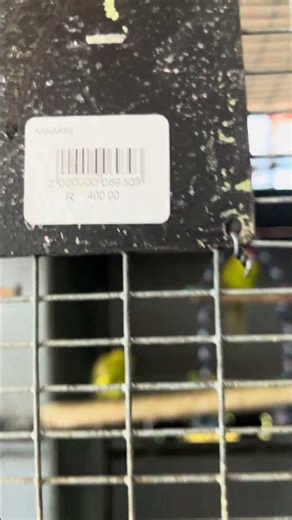 They tweaking #funny #memes #funnyimages #dothingsyoudontwanttodo