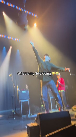 Mac DeMarco Concert Experience in Copenhagen