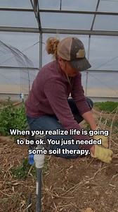 The Prairie Homestead on Reels