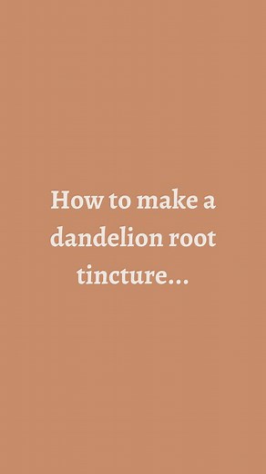 Dandelion tincture: Step 1: scrub and wash the roots down well to remove all the dirt. Then lightly peel them to clean them up and chop them in small pieces. Step 2: Roast them at 175°F for 20-30 minutes then add them to your jar. You can use any size jar you want as long as you have enough to follow a 1:3 ratio since this is dry plant matter. What's a 1:3 ratio? 1 part dandelion root to 3 parts of 80-100 proof vodka. 80-100 proof only nothing less nothing more. Anything less won't preserve it p