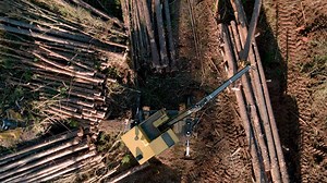 11K views · 342 reactions | Loading, delimbing, sorting and piling – watch Tigercat 200 series loaders in action. | Tigercat Industries | Facebook