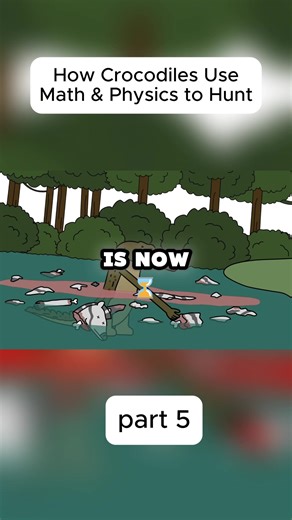 How Crocodiles Use Math and Physics to Hunt
