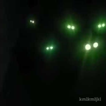 Cat with glowing eyes