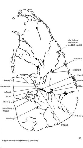 Study tips 2025OL short note helper 📝 #history #exam