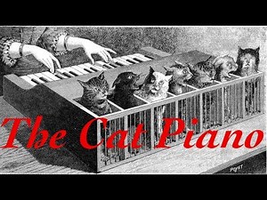 All About: The Cat Piano
