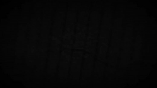 VHS 2 2013 LEKTOR IVO