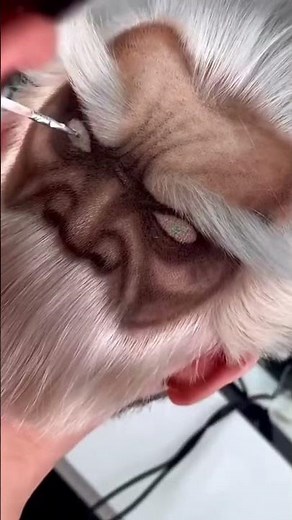 Incredible extreme hair artistry! Mind-Blowing Hair Tattoo Transformation!#neat#haircut