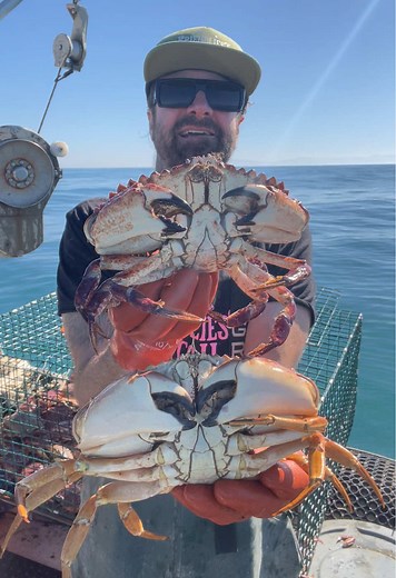 Understanding Red and Blonde Male Crabs in Fishing